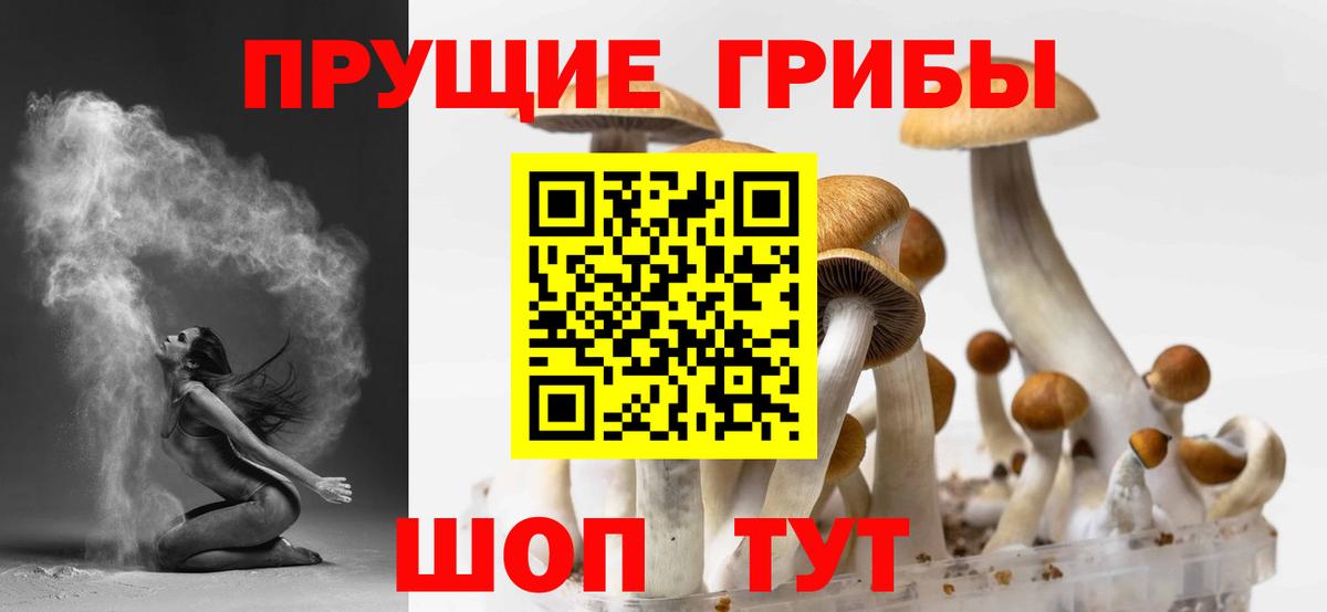 Псилоцибиновые грибы Magic Shrooms  Вход с VPN  Заволжье 