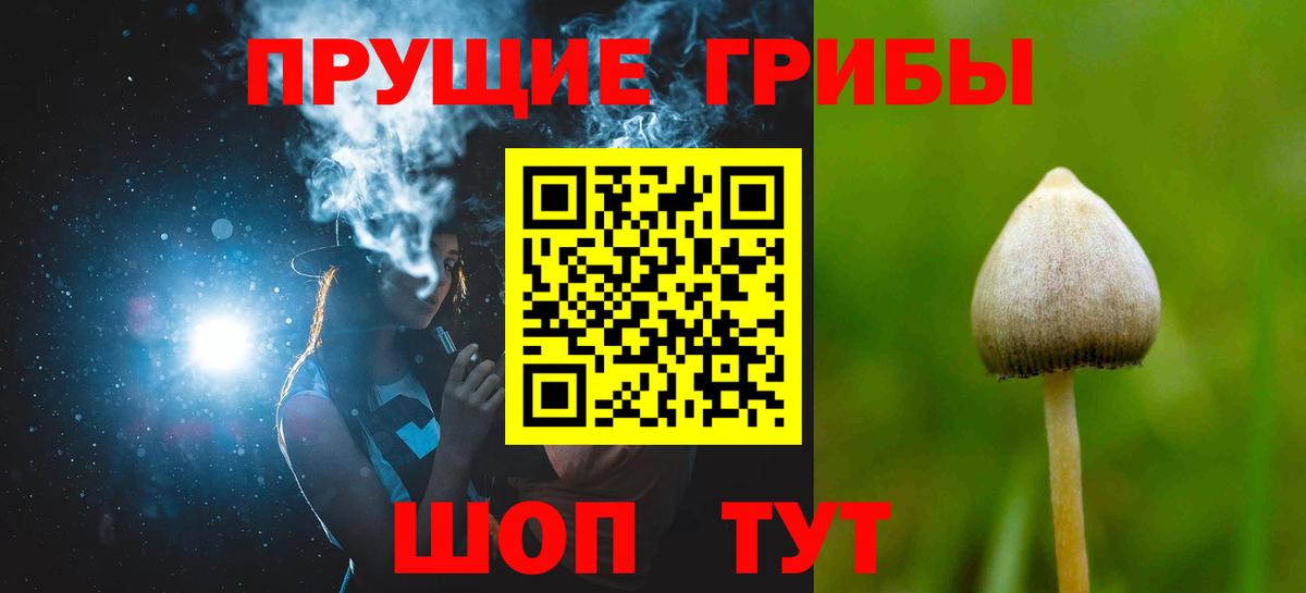Псилоцибиновые грибы Magic Shrooms Заволжье